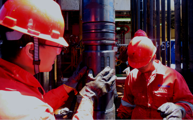 定制化技术开发优势