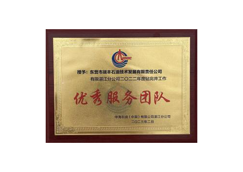 中海油优秀服务团队